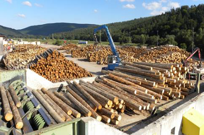 Бизнес – миссия «Инновации и передовая практика для управления лесным хозяйством и деревообрабатывающей промышленностью»