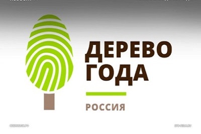 Международный конкурс «Европейское дерево года - 2021»