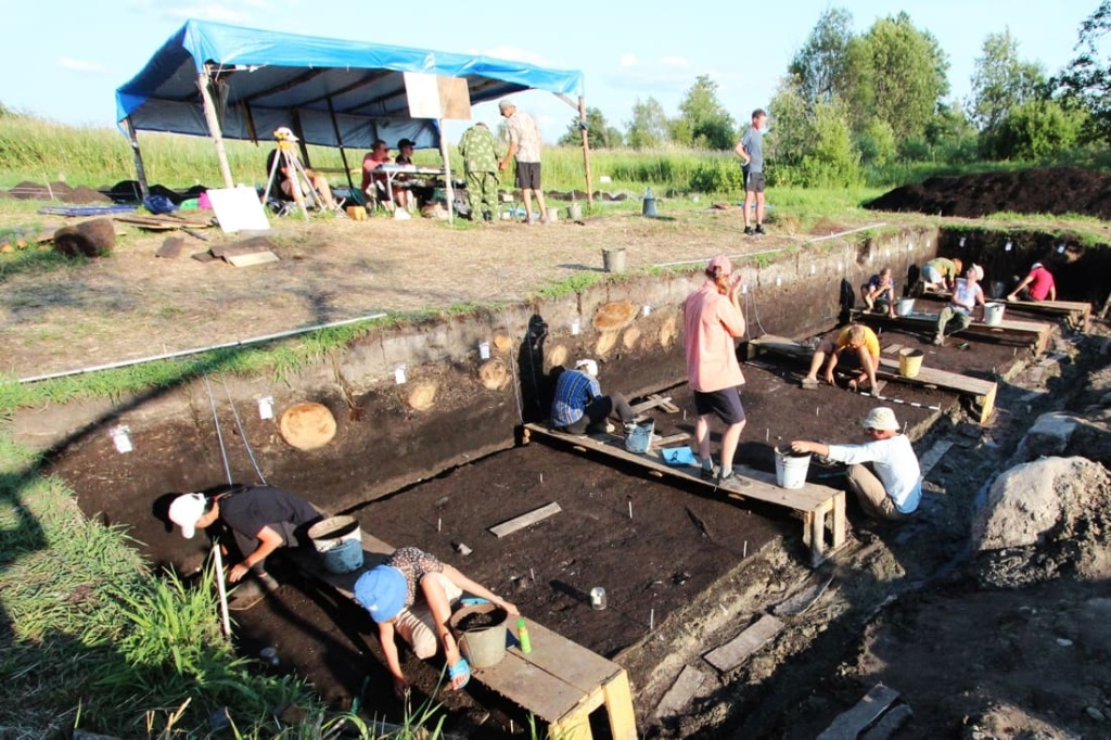 Студенты работают на археолгическом раскопе.jpg